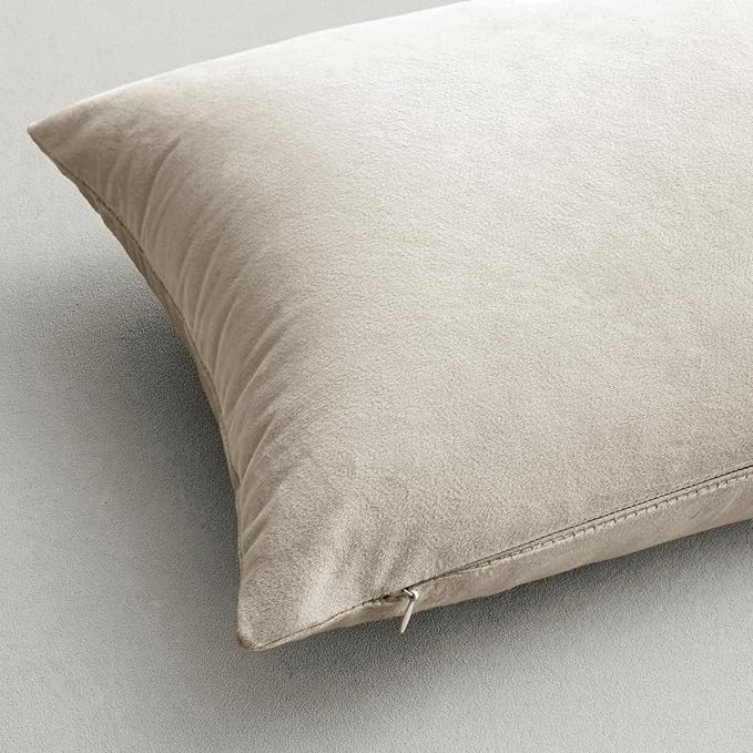 MIULEE Velvet Throw Pillow Covers 14x14 Inch, Pack of 2 - Cream White, Soft Solid Small Decorative Pillow Covers Modern Luxury Home Decor for Spring Couch Sofa Bedroom Livingroom