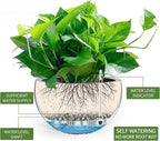 Dexceder 9 Inch Self Watering Hanging Planters Indoor Outdoor, Thickened Hanging Basket Flower Plant Pot with Water Level Indicator (Gray)