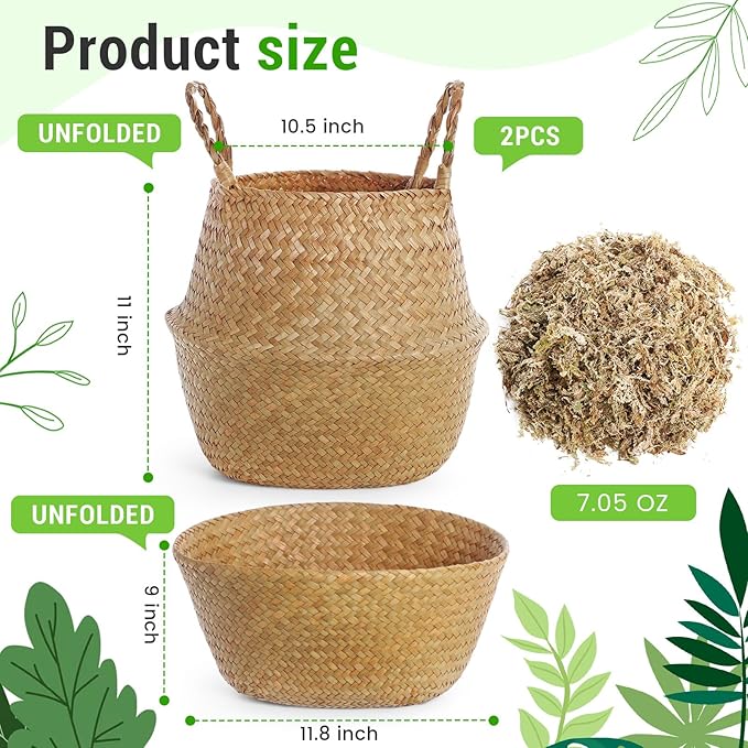 Large Wicker Plant Basket with Handle 10 Inch Woven Seagrass Belly Basket and Artificial Moss for House Plants Picnic Grocery Laundry Storage Home Decor(Large,Original,2 Pack)