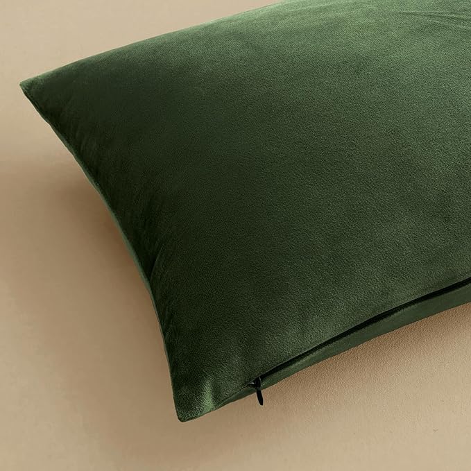 MIULEE Velvet Throw Pillow Covers 16x16 Inch, Pack of 2 - Moss Green, Soft Solid Decorative Pillow Covers Cushion Cases Modern Luxury Home Decor for Spring Couch Sofa Bedroom Livingroom