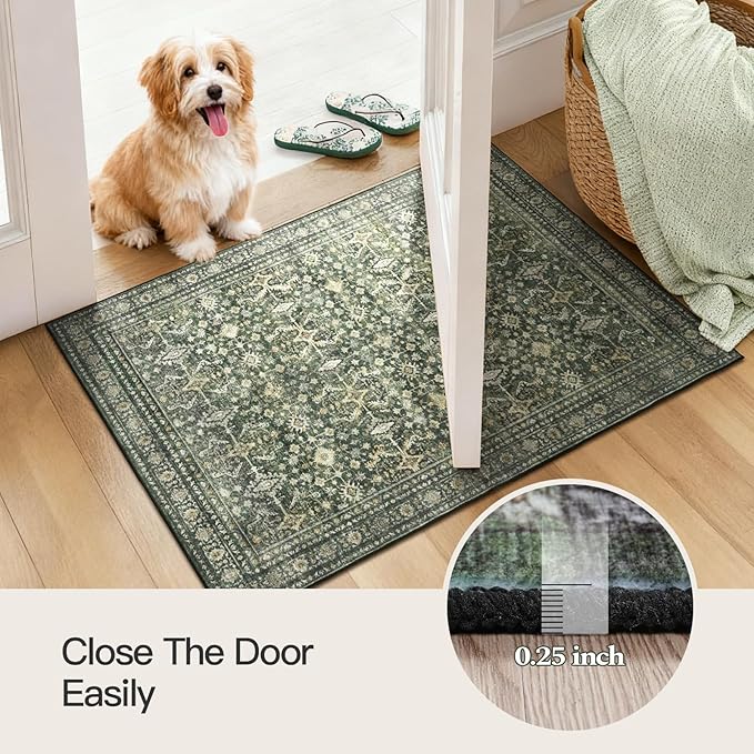 Lofus Area Rug for Living Room, 2x3 Washable Rug for Entryway Bathroom, Green Non Slip Kitchen Mats for Floor, Soft Door Mat Indoor Entrance, Farmhouse Carpet for Entry Living Room Bedroom