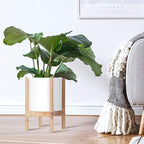 D'vine Dev Planter Pot with Stand - 10 Inch Plastic Cylinder Flower Pot with Wood Planter Holder for Indoor, Matte White Pot + Natural Stand, 55-C-M-1