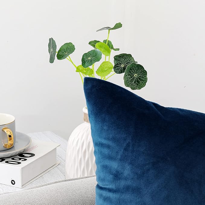 NiNi ALL Decorative Throw Pillow Covers Velvet 16x16 Inch Pack of 2 Blue Cushion Covers Soft for Couch Sofa Bedroom Living Room Outdoor