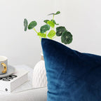 NiNi ALL Decorative Throw Pillow Covers Velvet 16x16 Inch Pack of 2 Blue Cushion Covers Soft for Couch Sofa Bedroom Living Room Outdoor