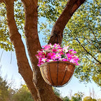 TIHOOD 2 Pack 12 inch Hanging Planter Basket Outdoor Large Hanging Flower Pots Indoor with Coco Coir Liner Round Wire Plant Holder Chain Hanging Basket Garden for Home Decor Balcony Office (2)