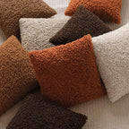 Foindtower 2 Pieces 22x22 Inch Burnt Orange, Faux Fur Throw Pillow Cover Accent Sherpa Furry Pillow Cover Fuzzy Soft Pillowcases Cozy Sheepskin Decorative Fleece Cushion Case for Bed Couch Living Room