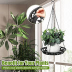 Enhon 2 Pack Plant Hanger, 12 Inch Metal Hanging Planter for Indoor Outdoor Plants, Classy Glossy Black Decorative Hanging Plant Shelf for Window Wall Ceiling Home Decor