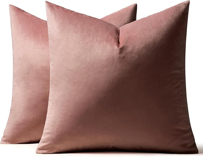 MIULEE 24x24 Inch Euro Sham Velvet Pillow Covers, Set of 2 Large Square Decorative Pillows -Jam Super Soft for King Bed, Sofa, Couch, Accent Chairs with Hidden Zipper