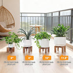 Plant Stand, Indoor/Outdoor Wood Plant Holder, Single Flower Pot Stand, Sturdy Planter Stands(Walnut, Fit 5-12 Inch Pots)