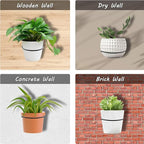 6 Pack 6 Inch Flower Pot Holder Ring, Wall Mounted Metal Planter Hanger, Matte Black, Iron