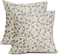 Grey Floral Pillow Covers 16x16 Set of 2 Vintage Rustic Old Style Cute Small Flower Gray Cream Print Decorative Outdoor Pillowcases Farmhouse Throw Cushion Case Decor for Couch Sofa Bed
