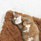 EverGrace Jacquard Boho Sherpa Fleece Throw Blanket for Couch, Super Soft Cozy Fuzzy Plush Blankets for All Seasons, Reversible Thick Warm Blanket for Bed, Sofa, Living Room, Burnt Orange, 50" x 60"