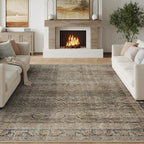 FMFUNCTEX 8x10 Washable Area Rug Brown Vintage Neutral Distressed Large Non Slip Carpet for Living Room Bedroom Soft Low Pile Indoor Mat Retro Throw Rug for Dining Room Kitchen Office Nursery, Multi