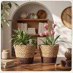 12 Pcs Seagrass Plant Basket with Plastic Liners Woven Stylish Planter Baskets Bulk Indoor Outdoor Plants Woven Wicker Baskets for Flower Pots Cover and Room Decor Small (Small,Scandinavian)