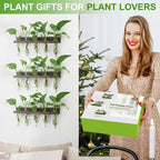 Plant Propagation Station Tubes, 3 Tiered 15 Wall Hanging Glass Test Tubes Vase Planter for Hydroponic Home Garden Office Decor, Gardening Gifts for Women Plant Lover - Brown