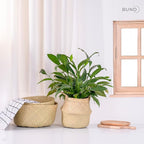 Woven Seagrass Belly Basket For Storage Plant Pot Baskets Laundry Picnic Grocery Baskets Woven Plant Pot Holder Home Decor For Storage Plants Wicker Laundry Basket (Large)