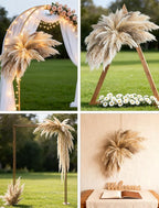 WILD AUTUMN Fluffy Boho Wall decor - DIY pampas grass kits,Decorative pampas cloud,Mirror Decorative,for Entryway Bedroom Living Room Bathroom House Warming Gifts New Home Essential - Need to assemble