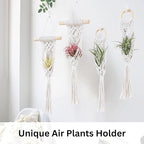 4 Pack Air Plants Holders, Wall Planters for Indoor Plants | Macrame Plant Hanger, Air Plant Hanger for Air Fern, Tillandsias (for Air Plant, NO Plant Included)