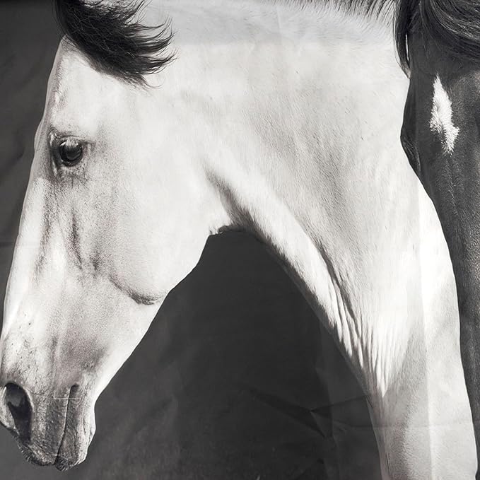 LB Black and White Horse Tapestry for Bedroom Galloping Horses Wall Tapestry Wild Animal Vintage Tapestries Hanging Wall Decor for Living Room Dorm, 59x51 inch