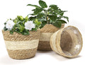 Athaliah Water Hyacinth Plant Basket Set of 3, Woven Planter Baskets with Plastic Liner, Indoor Plant Pot Covers for Potted Plants, Rustic Boho Farmhouse Home Decor