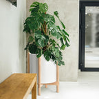 D'vine Dev Planter Pot with Stand - 16 Inch Plastic Cylinder Flower Pot with Wood Planter Holder for Indoor, Matte White Pot + Natural Stand, 55-C-Y-1