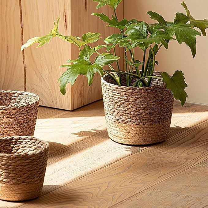 Jute Rope Plant Basket Indoor Modern Woven Flower Pot Basket Seagrass Storage Organizer Planter Rustic Decorative Plant Containers Cover Laundry Bin for Porch Living Room Entryway (6.88×6.88×4.72Inch)