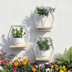 Modern White Hexagon Wall Planters with Solid Wood Shelves Set of 3 Geometric Floating Wall Decor for Indoor Plants, Stylish Wall Mounted Display for Succulents & Small Plants