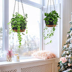 Set of 2 Hanging Planters for Indoor Outdoor Plants, 8 Inch Self-Watering Hanging Flower Pots with Drainage Hole & Removable Water-Storage Tray (Hooks)