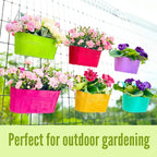LaLaGreen Outdoor Hanging Planter (11.2 Inch, 6 Pack) Light Purple, Green, Yellow, Cadet Blue, Dark Pink, Red Metal Iron Window Box Flower Pot Deck Railings Balcony Fence Rail Porch Home Garden Decor
