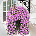 HyeFlora Artificial Fake Hanging Flowers with Basket for Outdoor Decoration,UV Resistant Faux Silk Daisy Flowers Light Fuchsia Orchid Vines in Planter Realistic Hanging Baskets for Home Porch Garden
