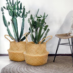 Qunclay 4 Pcs Woven Seagrass Baskets Belly Basket Folding Boho Natural Plant Pot with Handles Round Decorative Wicker Large Indoor Planter for Home Outdoor Tree Planters Decor (L,13''dx11''h)