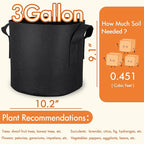 Gardzen 10-Pack 3 Gallon Grow Bags, 300G Thickened Fabric Grow Bags with Handles, Heavy Duty Aeration Plant Grow Bags