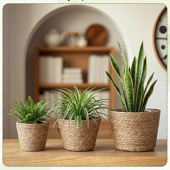 12 Pcs Seagrass Plant Basket with Plastic Liners Woven Stylish Planter Baskets Bulk Indoor Outdoor Plants Woven Wicker Baskets for Flower Pots Cover and Room Decor Small (Mixed Size,Rustic)