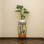 FaithLand Plant Stand, Metal Planter Holder Indoor Outdoor, 2 Tier Round Potted Supports Rack, Corner Display Shelf Black, Tall