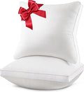 18x18 Pillow Inserts Set of 2, Down Alternative Throw Pillow Inserts with 100% Cotton Cover, Machine Washable Reading Pillows, Decorative Pillows for Bed, Sofa, and Couch