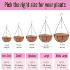 LaLaGreen Hanging Planters for Outdoor Plants (2 Pack, 12 Inch) Hanging Baskets with Coco Liner Flower Pots, Metal Wire Round Plant Holder Hanger Hook Chain Deck Porch Garden Balcony Farmhouse Decor