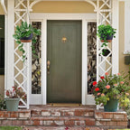 Set of 2 Hanging Planters for Indoor Outdoor Plants, 8 Inch Self-Watering Hanging Flower Pots with Drainage Hole & Removable Water-Storage Tray (Hooks)