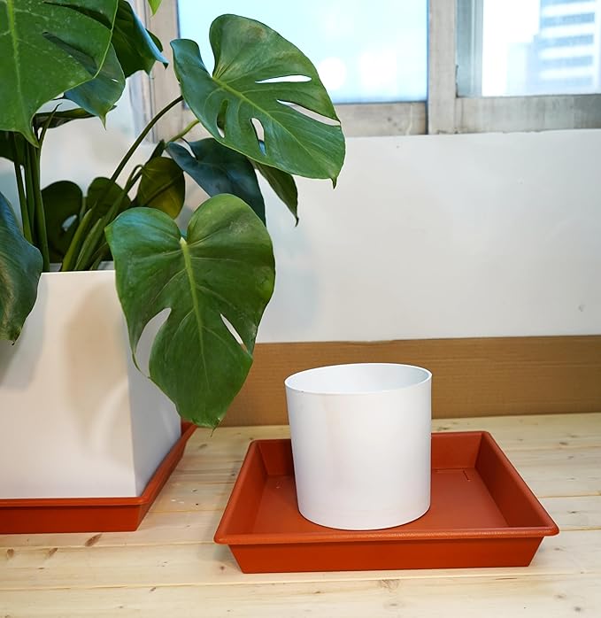Square Plant Saucer 20 Inch 2 Pack, Large Plant Trays for Pots Heavy Duty Plastic Plant Saucers for Indoors Outdoors, Flower Pot No Holes Terracotta Plant Lover Gardening Gifts