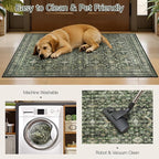Lofus Area Rug for Living Room, 2x3 Washable Rug for Entryway Bathroom, Green Non Slip Kitchen Mats for Floor, Soft Door Mat Indoor Entrance, Farmhouse Carpet for Entry Living Room Bedroom