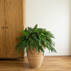 Nearly Natural 48in Artificial Boston Fern, Set of 2 - Large Hanging Fake Plant Wall Decor with 67 Fronds, Faux Fern Vines that Look Real for Home and Office Decor