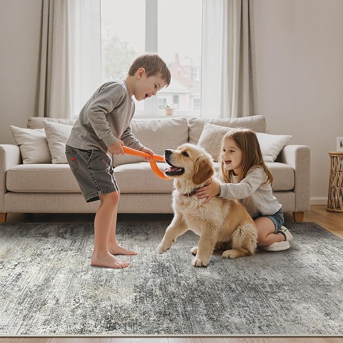 GENIMO Washable Rugs 5x7 Area Rugs for Living Room Bedroom, Modern Lightweight Rug Ultra Soft Indoor Area Rugs 5x7 for Dining Room, Low Pile Carpet with Non Slip Backing, Mist Grey