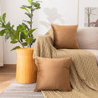 NiNi ALL Decorative Brown Throw Pillow Covers Pack of 2 Velvet 12x12 Inch Throw Pillow Cases for Couch Pillows Cover Bedroom Living Room Outdoor Pillows Cover