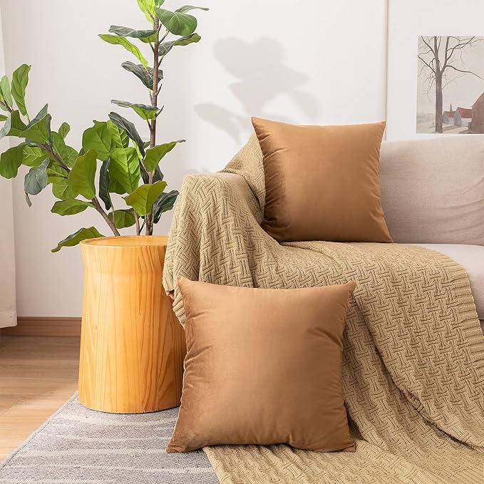 NiNi ALL Decorative Brown Throw Pillow Covers Pack of 2 Velvet 12x12 Inch Throw Pillow Cases for Couch Pillows Cover Bedroom Living Room Outdoor Pillows Cover