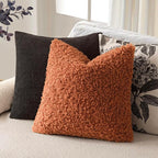 Foindtower 2 Pieces 20x20 Inch Burnt Orange, Faux Fur Throw Pillow Cover Accent Sherpa Furry Pillow Cover Fuzzy Soft Pillowcases Cozy Sheepskin Decorative Fleece Cushion Case for Bed Couch Living Room