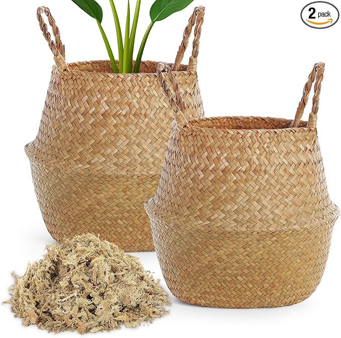 Large Wicker Plant Basket with Handle 10 Inch Woven Seagrass Belly Basket and Artificial Moss for House Plants Picnic Grocery Laundry Storage Home Decor(Large,Original,2 Pack)