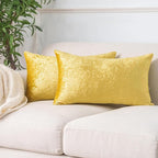NiNi ALL Decorative Throw Pillow Covers Pack of 2, Velvet Throw Pillow Cases for Couch Pillows Cover Bedroom Living Room Outdoor Pillow Covers 12x20 Inch Gold