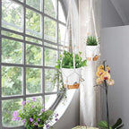 GARDIFE Hanging Planters for Indoor Plants,5Pcs Hanging Basket for Indoor Boho Home Decor,Macrame Plant Hanger,35 Inches,29Inch,23Inch, Ivory,Self Watering Planters, 7/6.5/6/5.5/5 Inch,White&White
