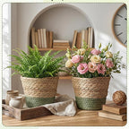 12 Pcs Seagrass Plant Basket with Plastic Liners Woven Stylish Planter Baskets Bulk Indoor Outdoor Plants Woven Wicker Baskets for Flower Pots Cover and Room Decor Small (Small,Farmhouse)