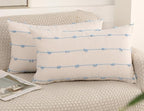 Set of 2 Boho Lumbar Throw Pillow Covers 12x20,Light Blue Neutral Couch Pillow Case with Tassel Fringe Decorative,Modern Accent Farmhouse Cushion Covers for Sofa Couch Bed Living Room