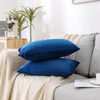 NiNi ALL Decorative Throw Pillow Covers Velvet 12x20 Inch Pack of 2 Blue Cushion Covers Soft for Couch Sofa Bedroom Living Room Outdoor